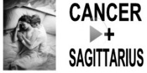 Cancer + Sagittarius Compatibility