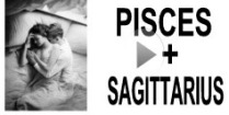 Pisces + Sagittarius Compatibility