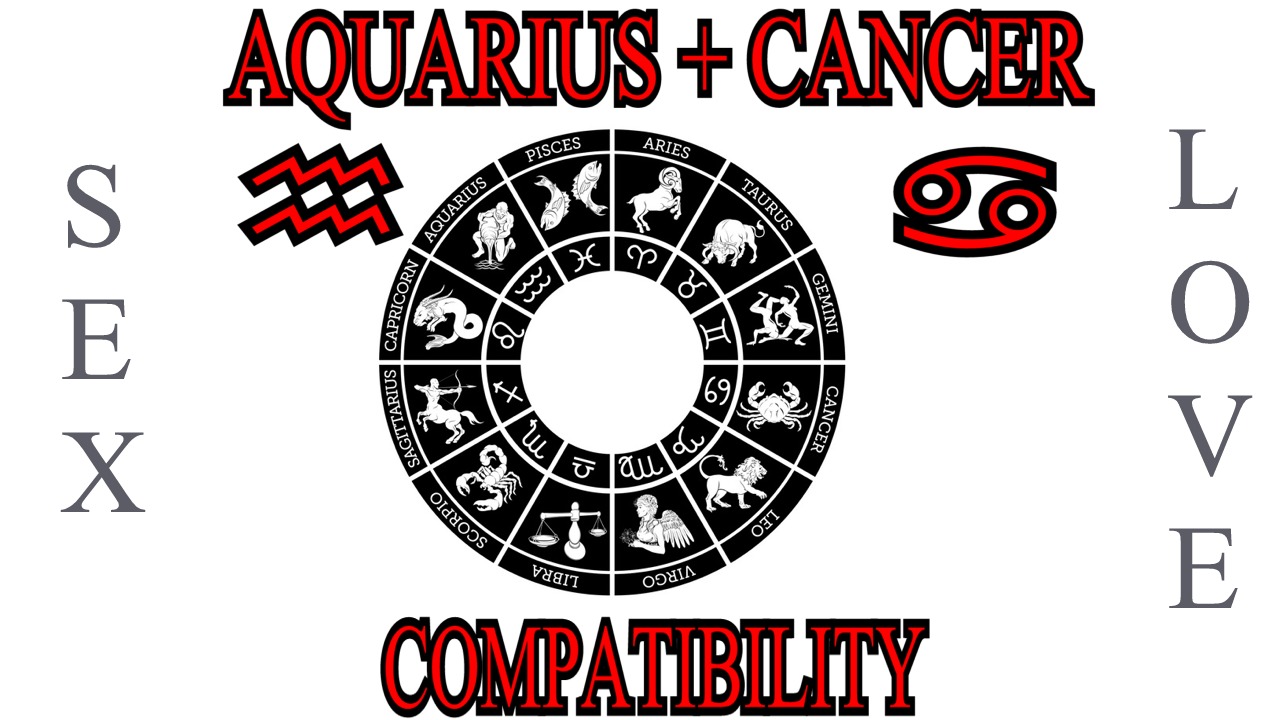 Aquarius + Cancer
