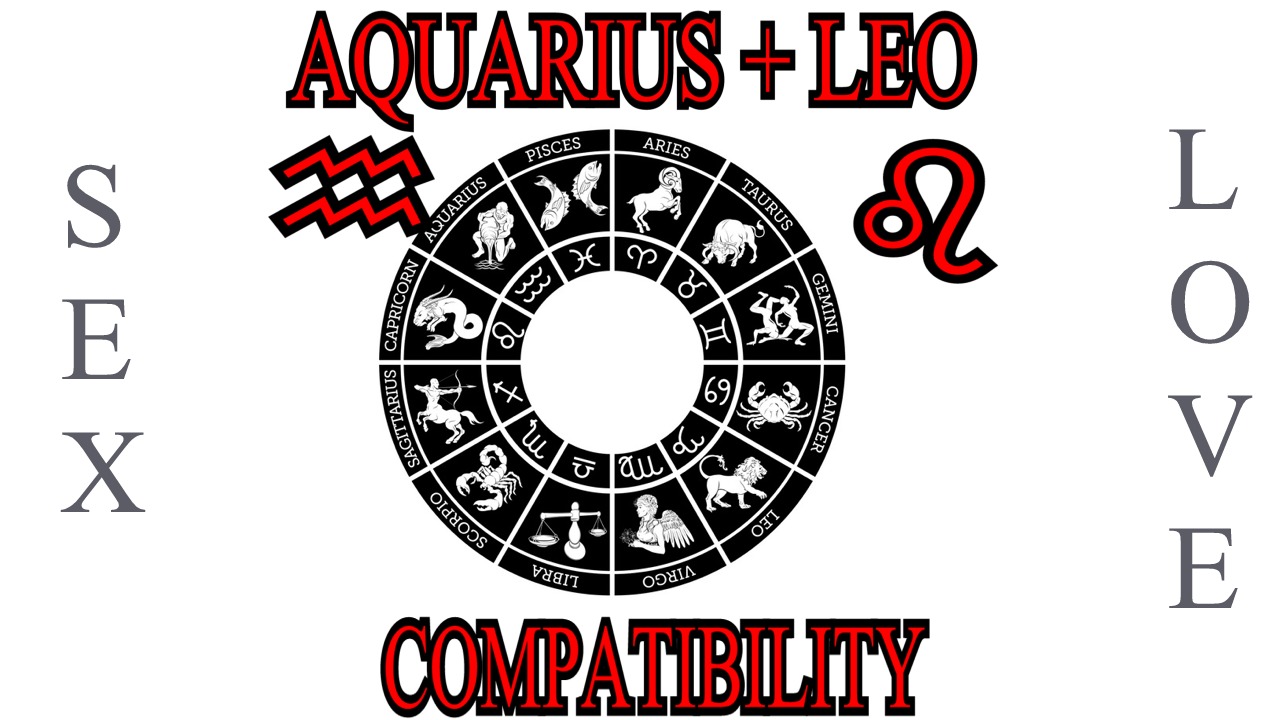 Aquarius + Leo