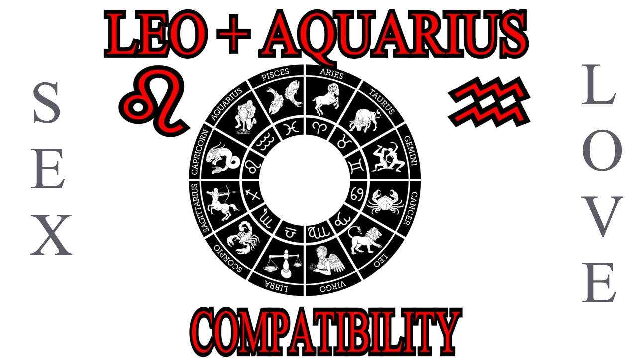 Leo + Aquarius