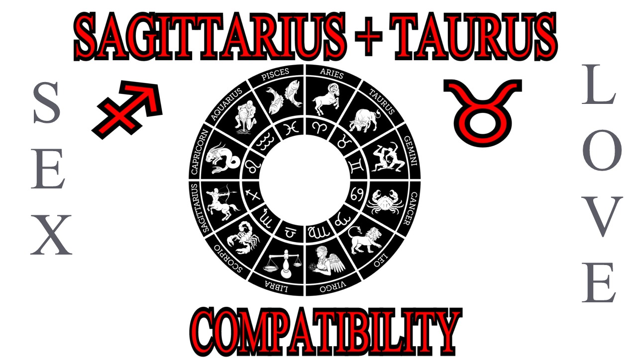 Sagittarius + Taurus