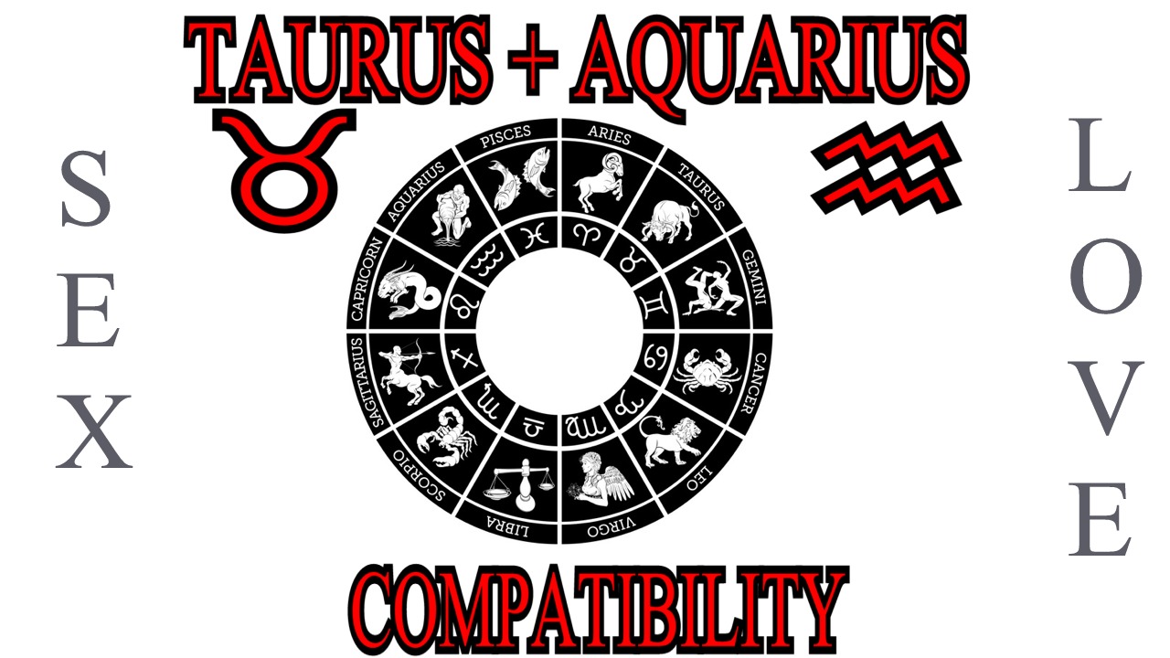 Taurus + Aquarius