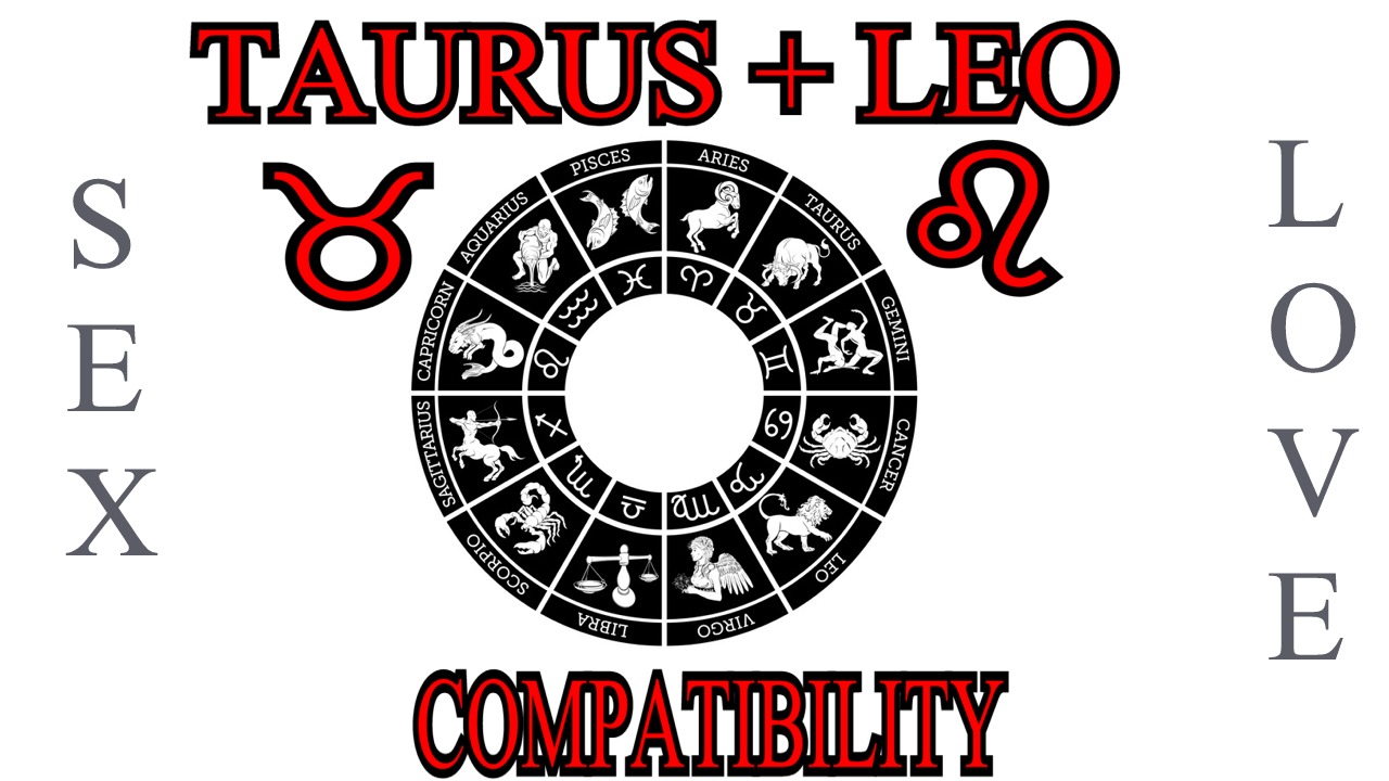 Taurus + Leo