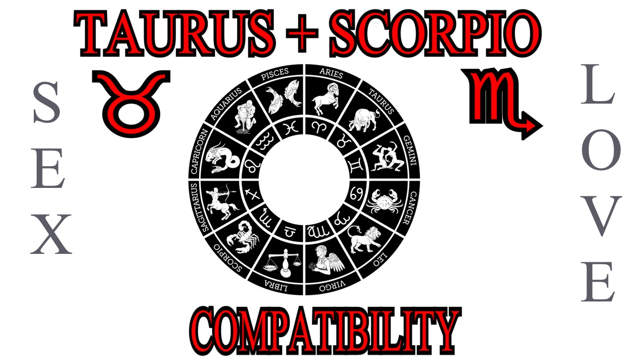 Taurus + Scorpio