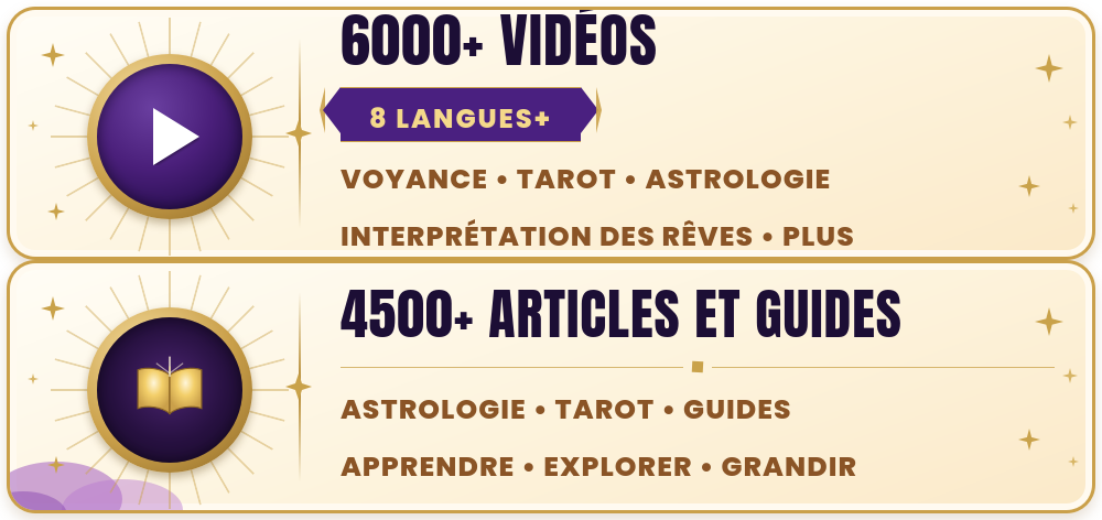 Regardez plus de 5000 vidéos