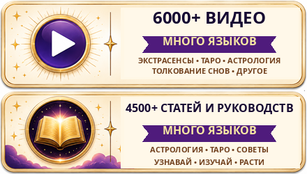 Watch over 5000 Videos